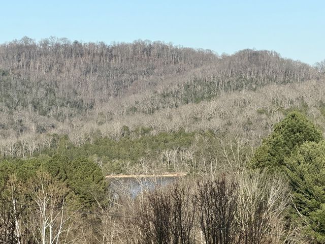 14 Cordell Hull Ln, Elmwood, TN 38560