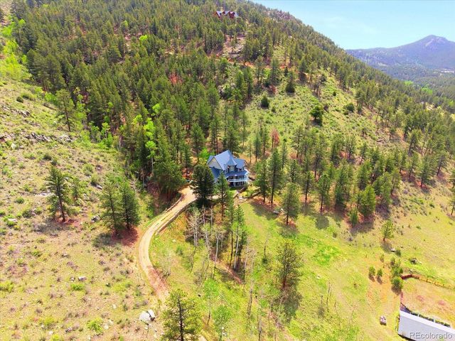 1458 Crow Creek Road, Bailey, CO 80421