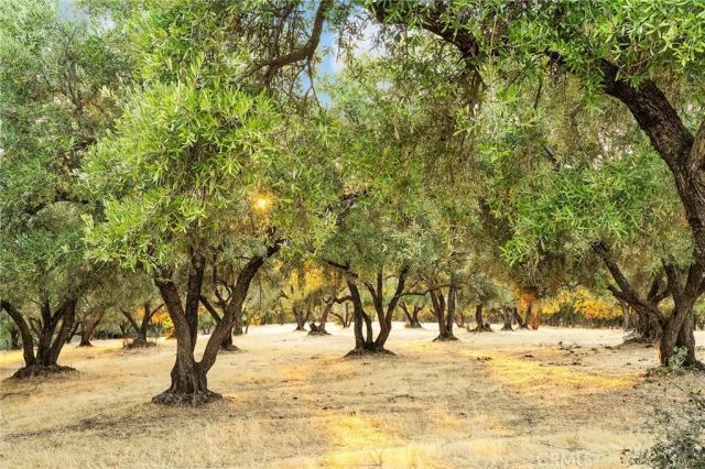 385 Dunstone, Oroville, CA 95966