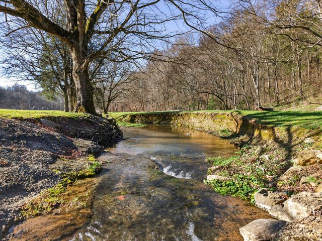 113 Poorhouse Rd, Taft, TN 38488