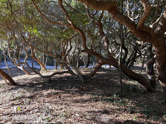 104 Roosevelt Reserve Park Place, Atlantic Beach, NC 28512