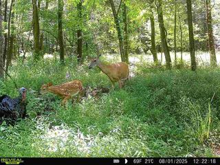 0 SR 258, Liberty Twp, PA 16127