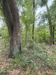 4117 SILVER LAKE Drive, Palatka, FL 32177