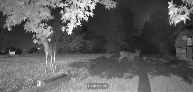 14901 N OLD NUMBER 7, Columbia, MO 65202