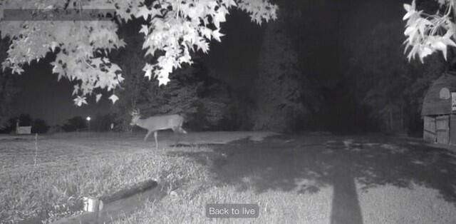 14901 N OLD NUMBER 7, Columbia, MO 65202