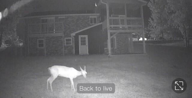 14901 N OLD NUMBER 7, Columbia, MO 65202