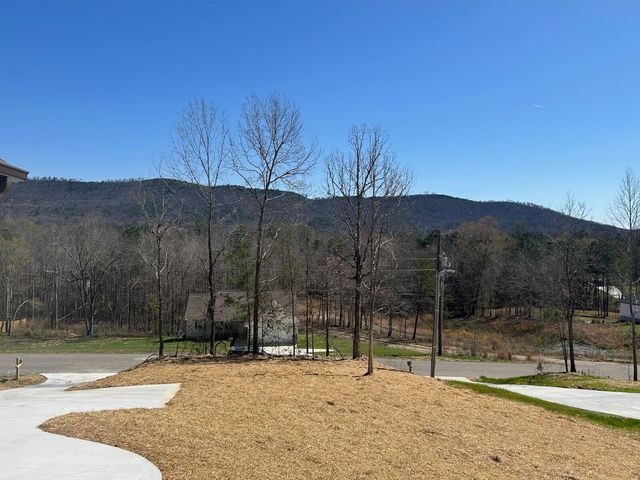 825 Bridges Road, Rocky Face, GA 30740