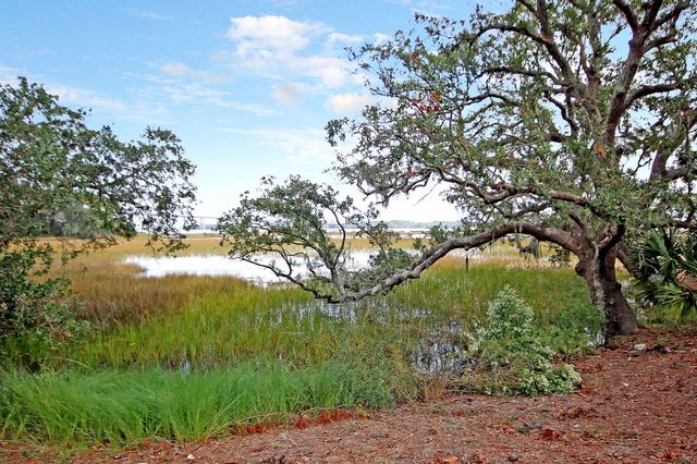 2229 Daniel Island Drive, Charleston, SC 29492