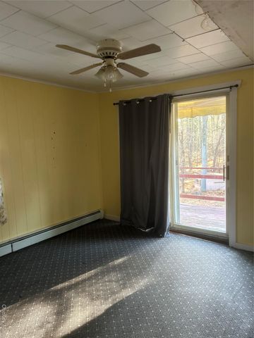 65 Eldred Yulan Road, Eldred, NY 12732