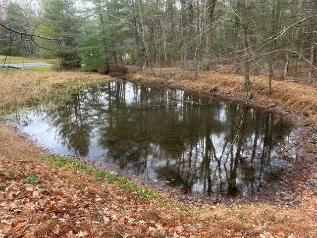 65 Eldred Yulan Road, Eldred, NY 12732