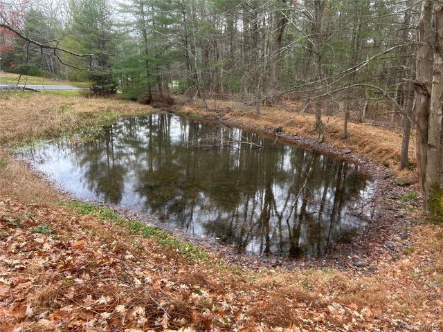 65 Eldred Yulan Road, Eldred, NY 12732