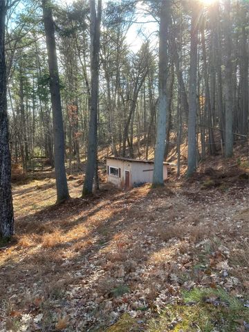 65 Eldred Yulan Road, Eldred, NY 12732