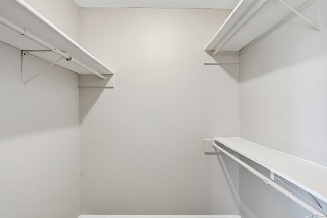 9534 Chelmsford, San Antonio, TX 78239