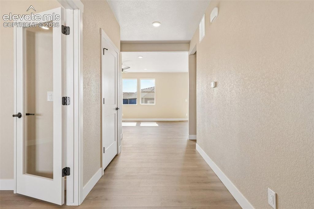 9161 Lanceleaf Drive, Colorado Springs, CO 80925 — photo 3