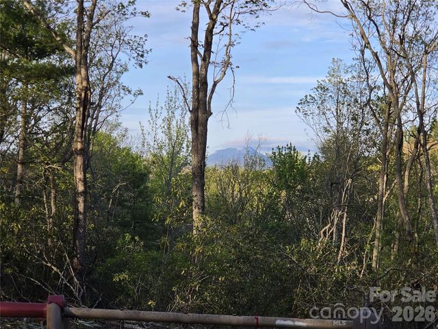 692 Buck Hill Road, Newland, NC 28657