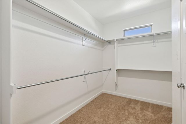 316 Bendecido LOOP, Elgin, TX 78621