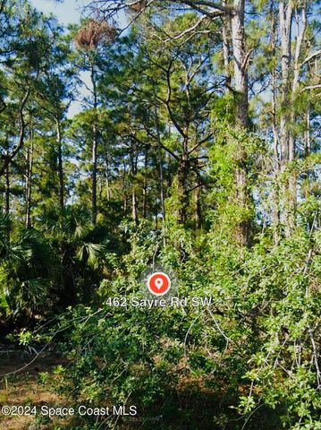 462 Sayre Road SW, Palm Bay, FL 32908