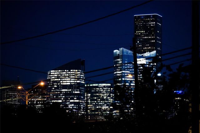 1708 Freeman Freeman Street, Houston, TX 77009