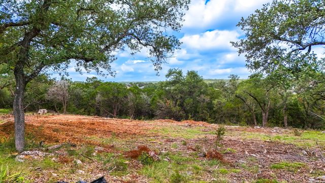 1231 WILD ROSE DR, New Braunfels, TX 78132