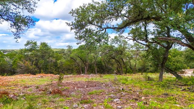 1231 WILD ROSE DR, New Braunfels, TX 78132