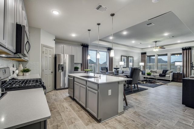 712 Amber Falls Drive, Montgomery, TX 77356
