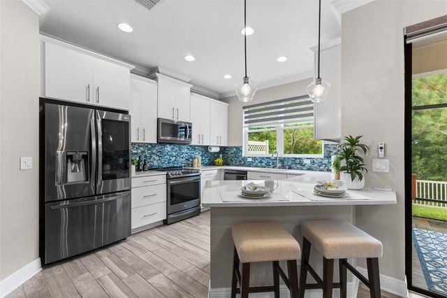 11458 CROWNED SPARROW LANE, Tampa, FL 33626