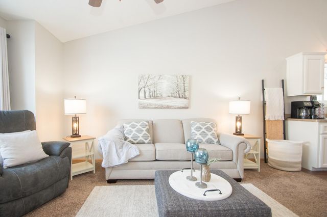 265 Arbor Curve NE, Cokato, MN 55321