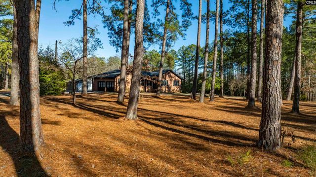 169 Lake Tide Drive, Chapin, SC 29036