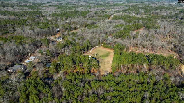 169 Lake Tide Drive, Chapin, SC 29036