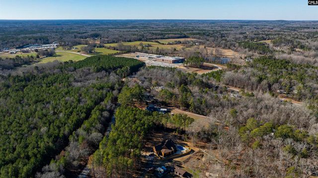 169 Lake Tide Drive, Chapin, SC 29036