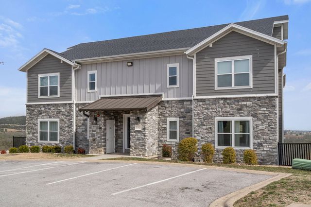 3103 S Vineyards Terrace Unit 4, Branson, MO 65616