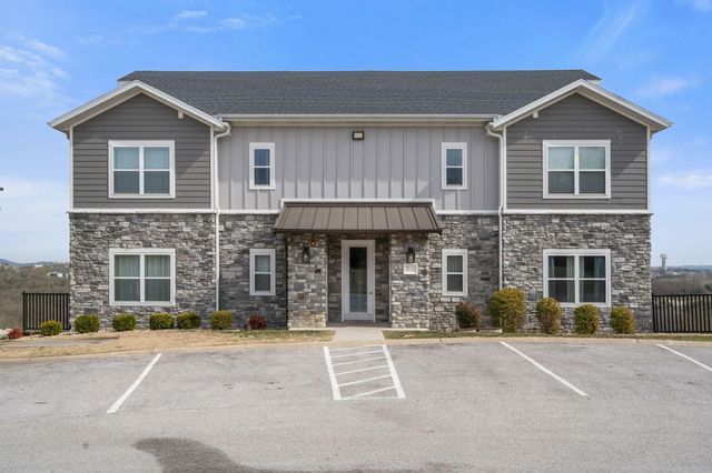 3103 S Vineyards Terrace Unit 4, Branson, MO 65616