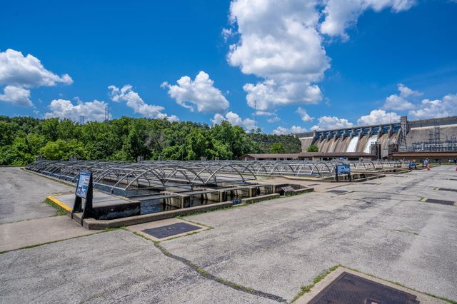 3103 S Vineyards Terrace Unit 4, Branson, MO 65616