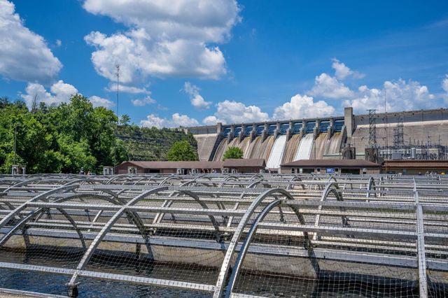 3103 S Vineyards Terrace Unit 4, Branson, MO 65616