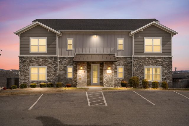 3103 S Vineyards Terrace Unit 4, Branson, MO 65616