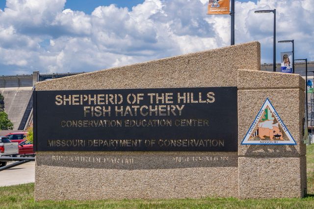 3103 S Vineyards Terrace Unit 4, Branson, MO 65616