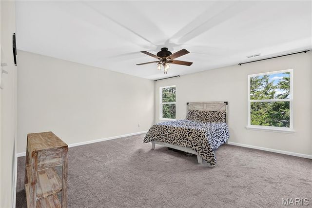 219 Quiet Bend Drive, Wentzville, MO 63385