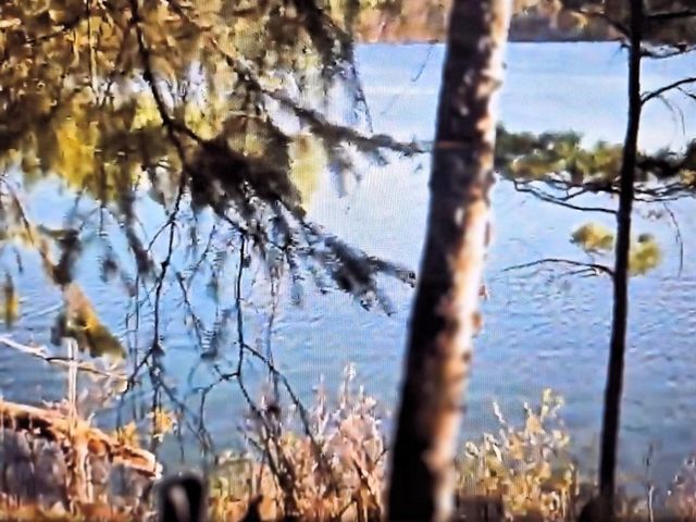 9341 Nyberg Road, Hayward, WI 54843