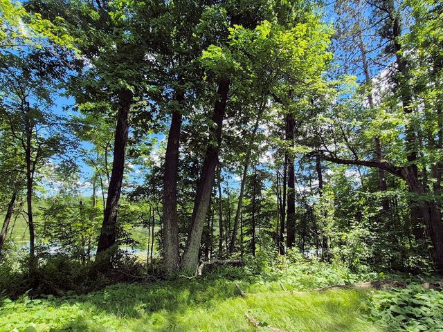9341 Nyberg Road, Hayward, WI 54843