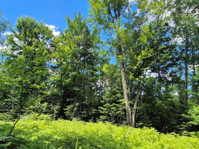 9341 Nyberg Road, Hayward, WI 54843