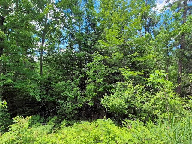 9341 Nyberg Road, Hayward, WI 54843