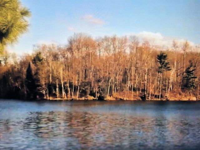 9341 Nyberg Road, Hayward, WI 54843