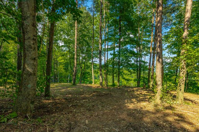 0 High Ground Road 2222, Guild, TN 37340