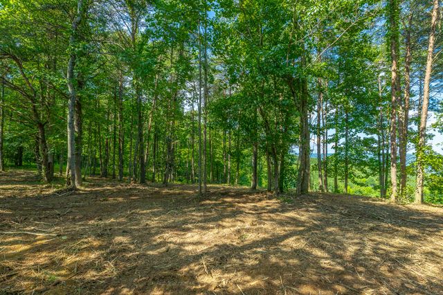 0 High Ground Road 2222, Guild, TN 37340