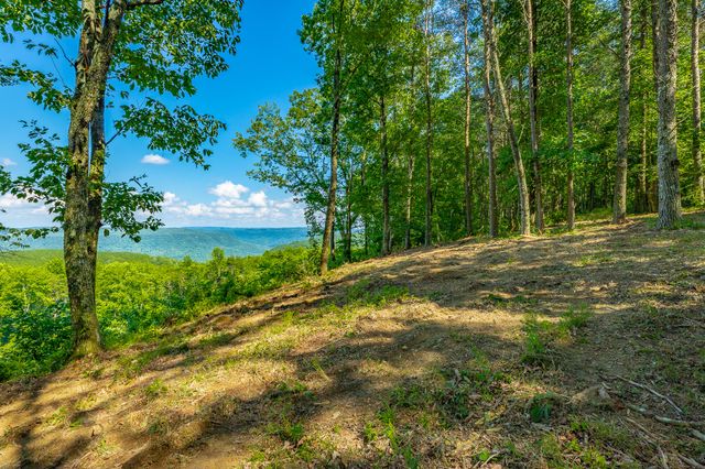 0 High Ground Road 2222, Guild, TN 37340