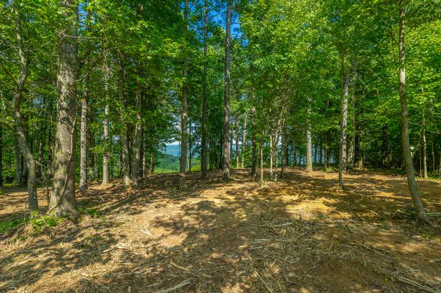 0 High Ground Road 2222, Guild, TN 37340