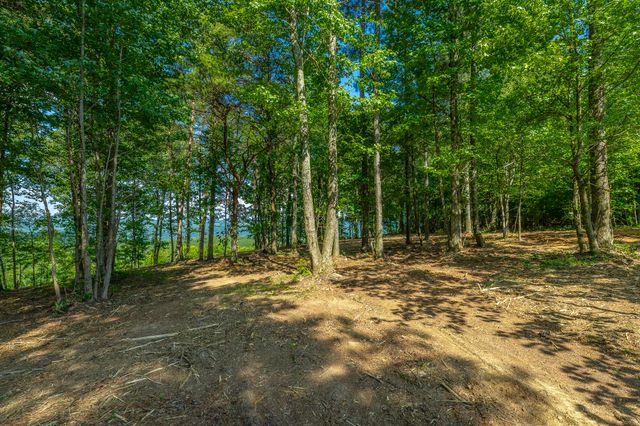 0 High Ground Road 2222, Guild, TN 37340