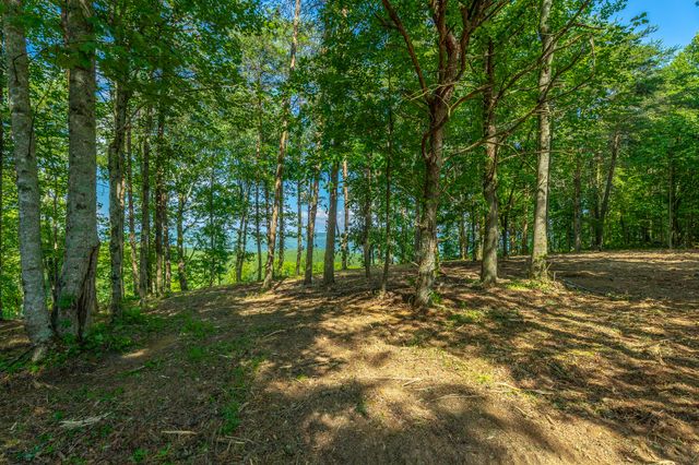 0 High Ground Road 2222, Guild, TN 37340