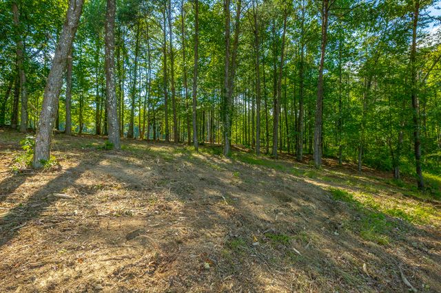0 High Ground Road 2222, Guild, TN 37340