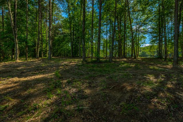 0 High Ground Road 2222, Guild, TN 37340